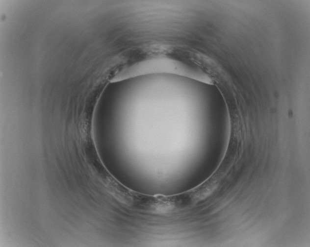 X0000073710604200608031241