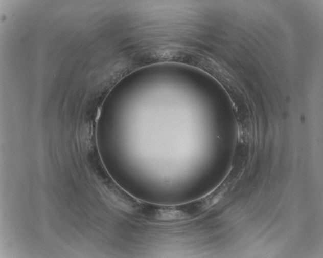 X0000073710605200608031241