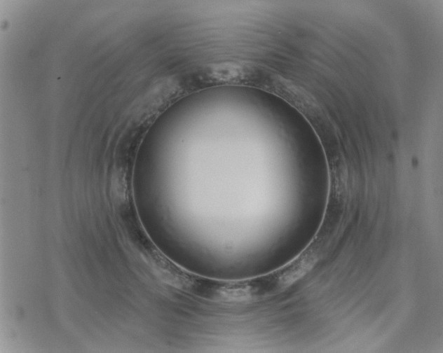 X0000073710606200608031241