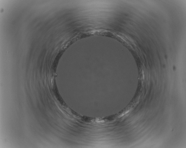 X0000073710607200608031241