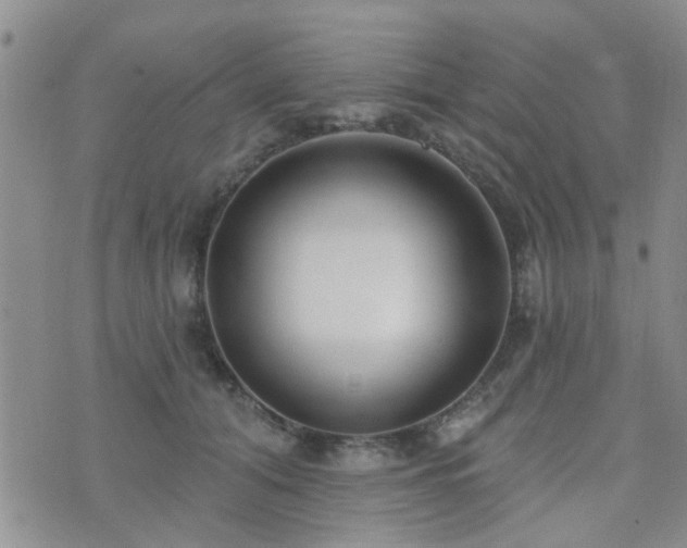 X0000073710608200608031241