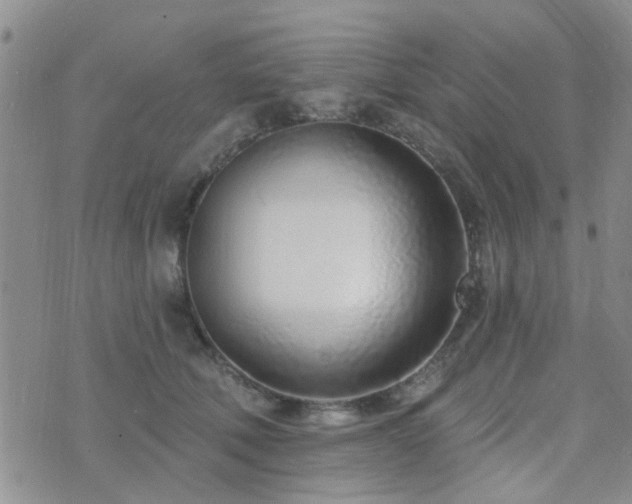 X0000073710610200608031241