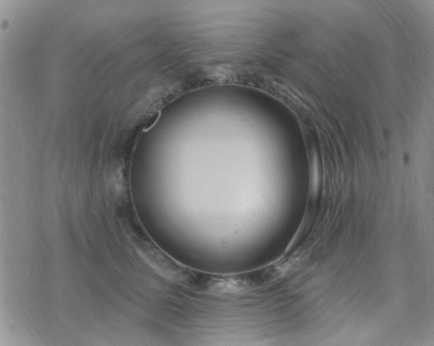 X0000073710611200608031241