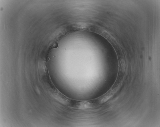 X0000073710612200608031241