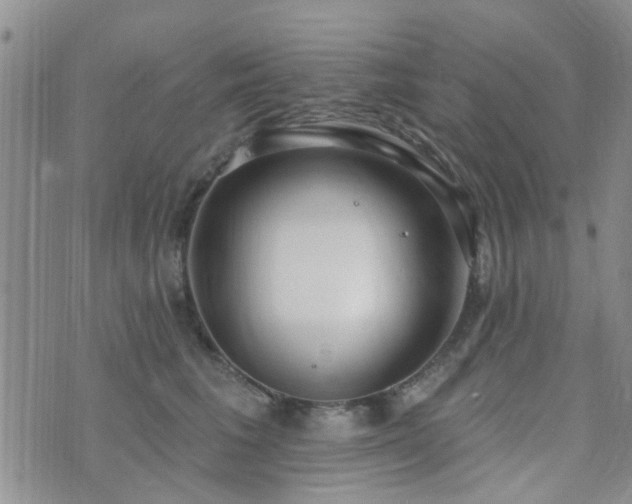 X0000073710613200608031241