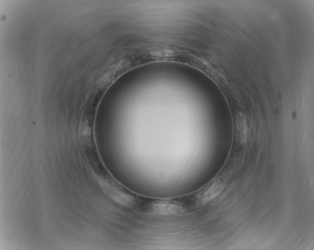 X0000073710614200608031241