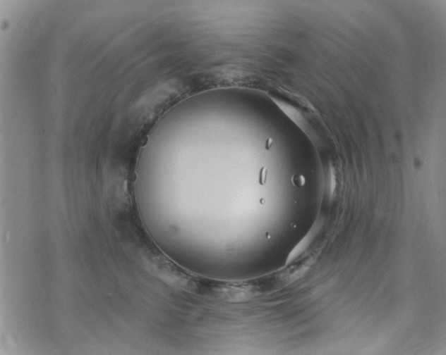 X0000073710615200608031241