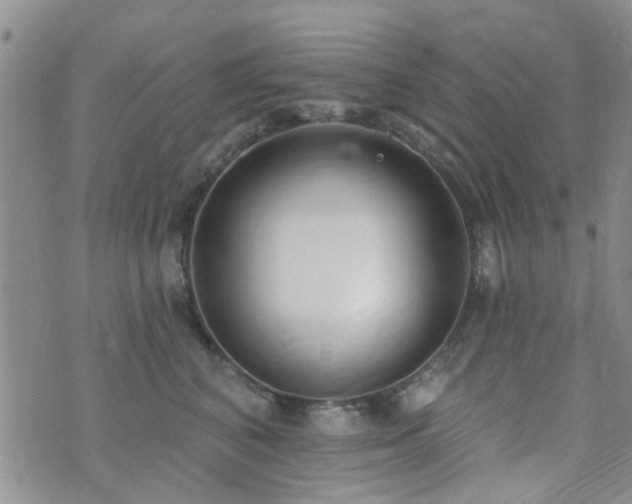 X0000073710616200608031241