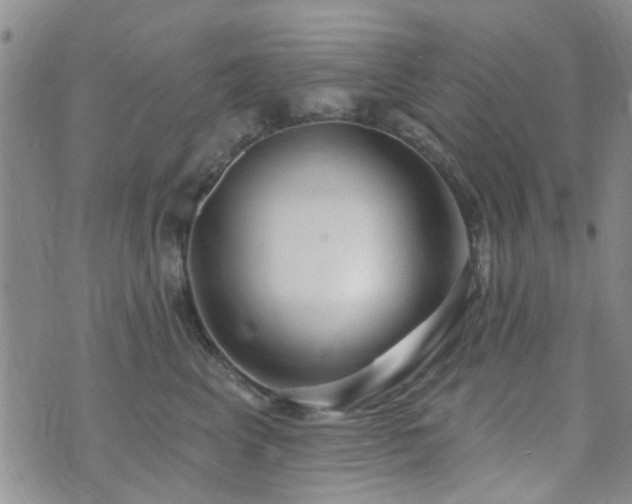 X0000073710617200608031241