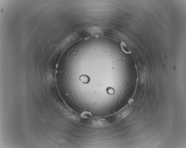 X0000073710618200608031241