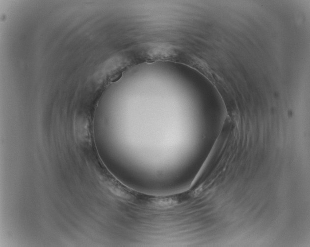 X0000073710619200608031241