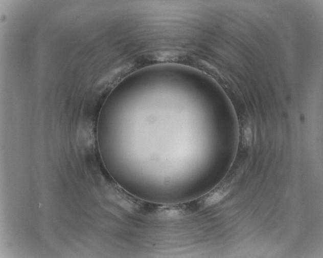 X0000073710620200608031241