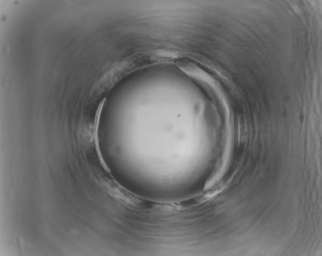 X0000073710621200608031241