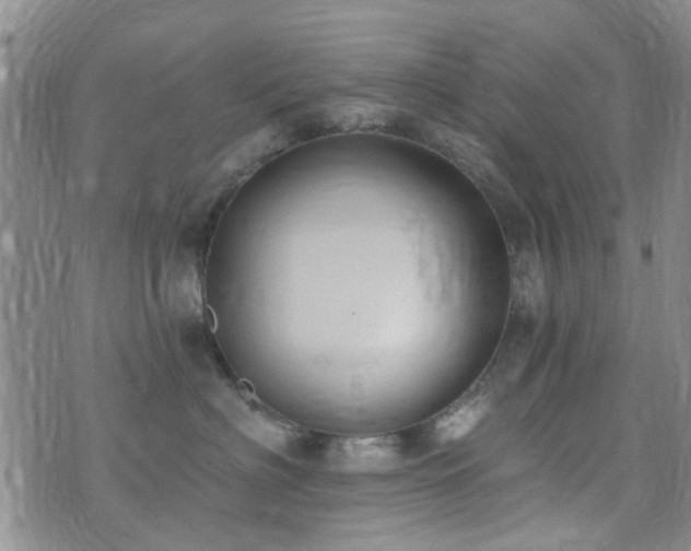 X0000073710622200608031241