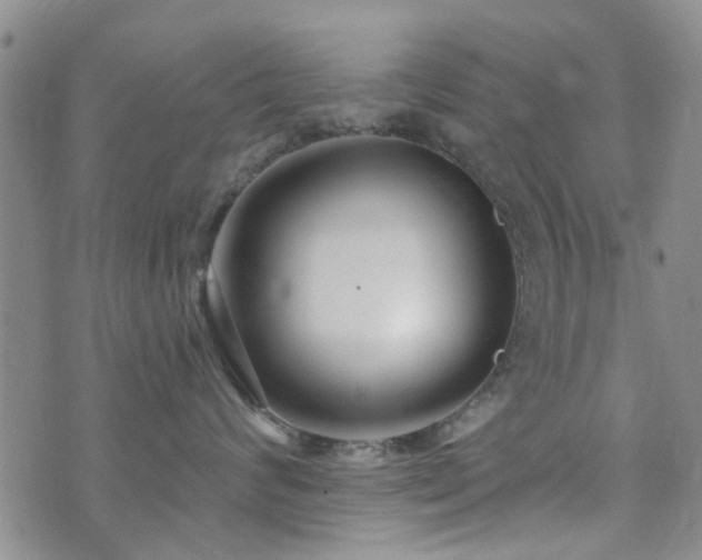 X0000073710624200608031241