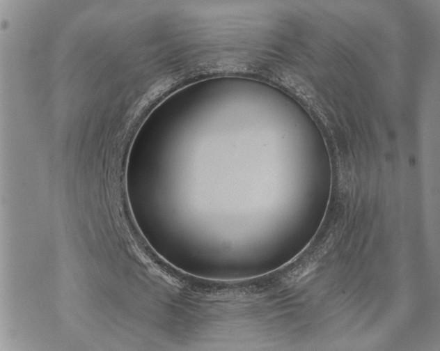 X0000073710625200608031240