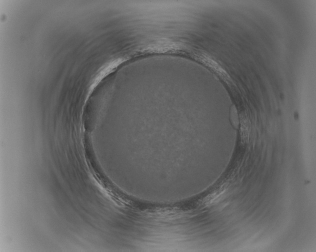 X0000073710626200608031240