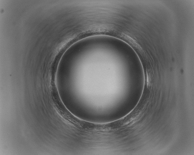 X0000073710627200608031240