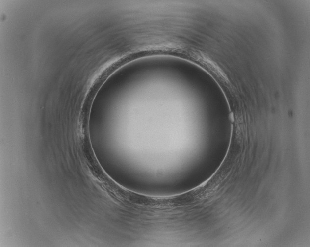 X0000073710628200608031240