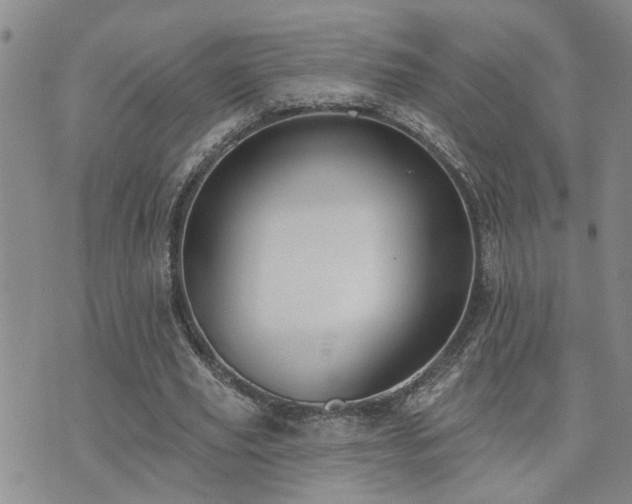 X0000073710629200608031240