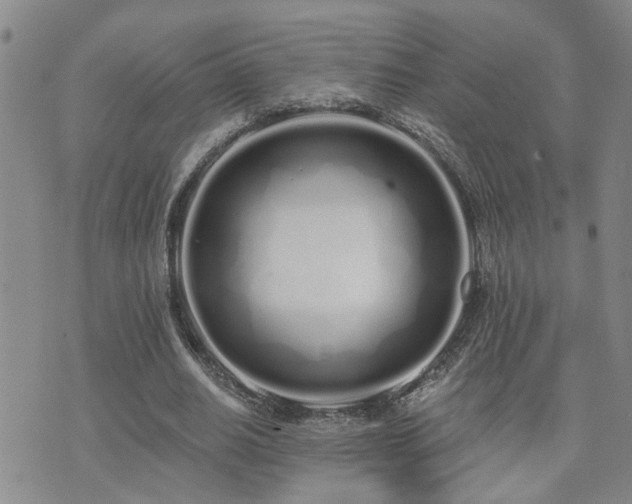 X0000073710630200608031240