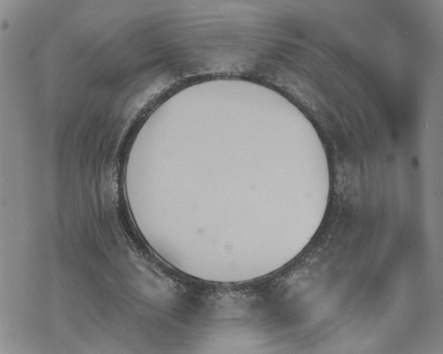 X0000073710632200608031240