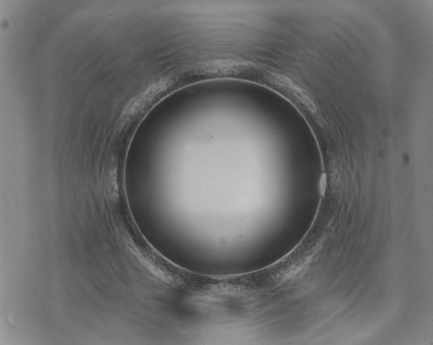 X0000073710633200608031240