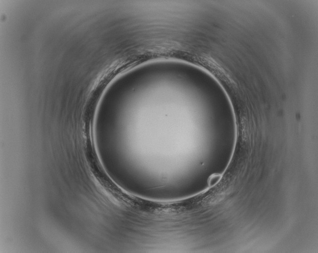 X0000073710634200608031240