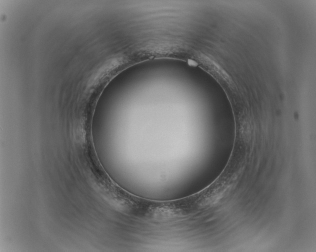 X0000073710635200608031240