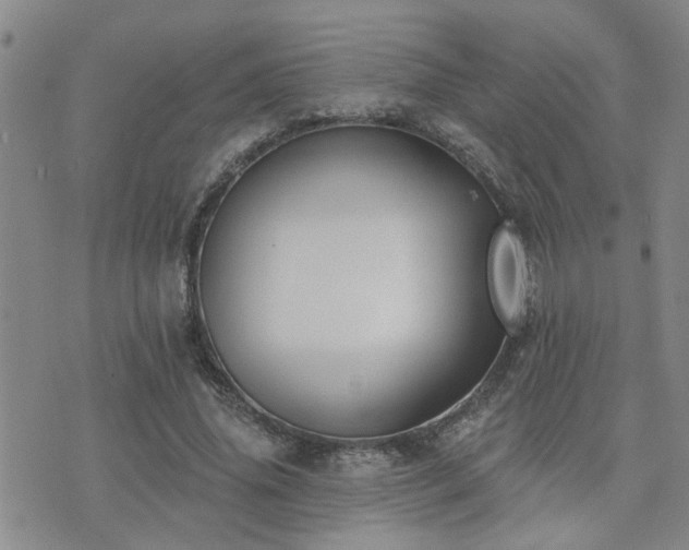 X0000073710636200608031240