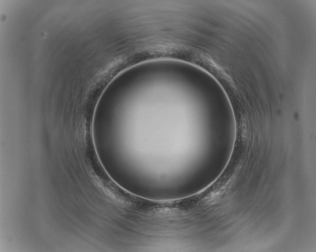 X0000073710637200608031240