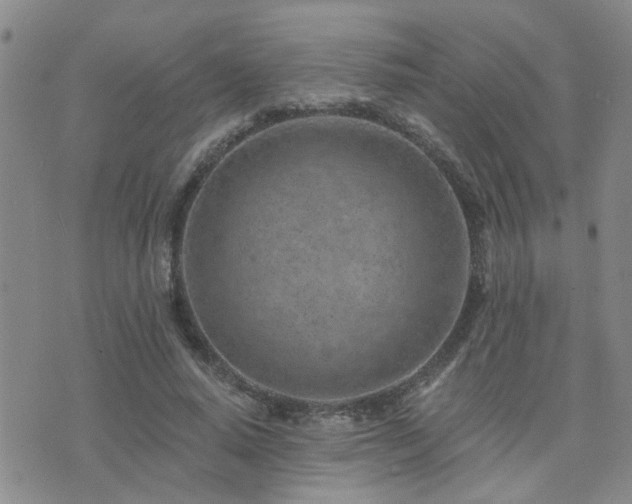 X0000073710640200608031240