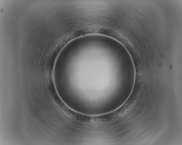 X0000073710641200608031240