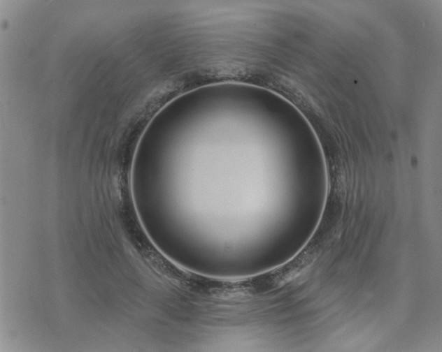 X0000073710643200608031240