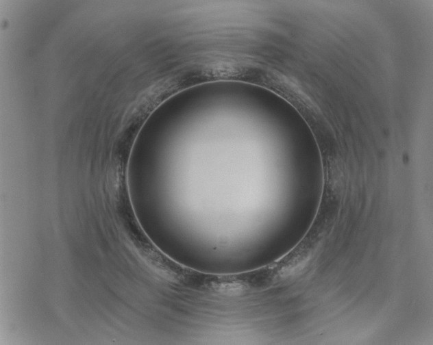 X0000073710645200608031240