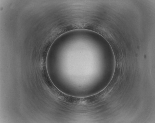 X0000073710647200608031240