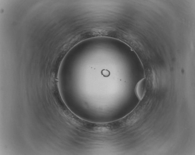 X0000073710649200608031241