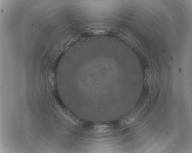 X0000073710650200608031241