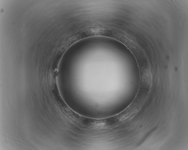 X0000073710651200608031241