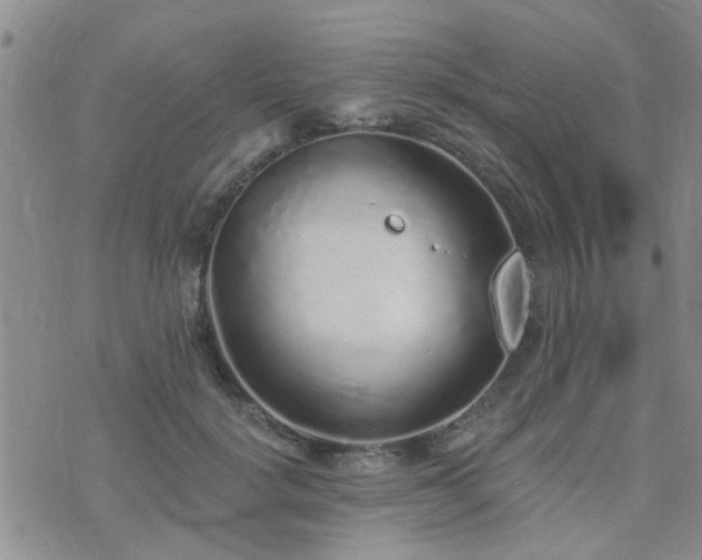 X0000073710652200608031241