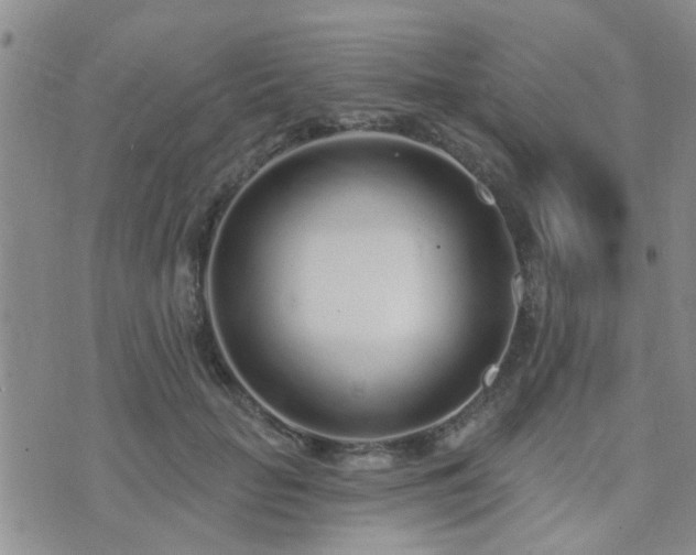 X0000073710653200608031241