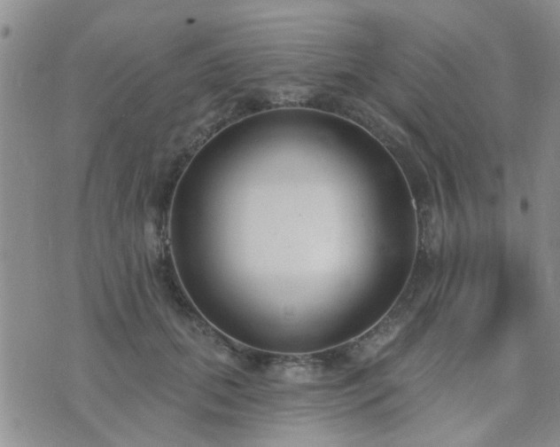 X0000073710655200608031241