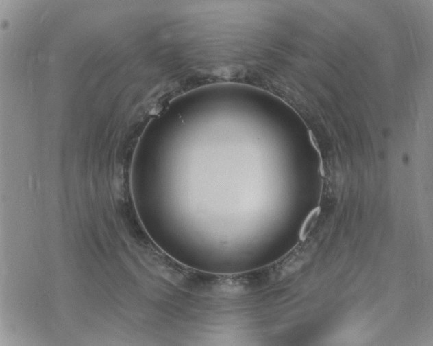 X0000073710656200608031241