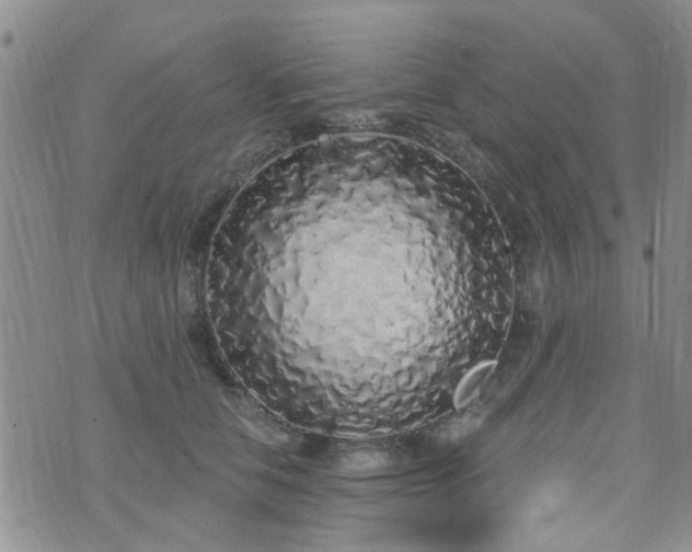 X0000073710658200608031241