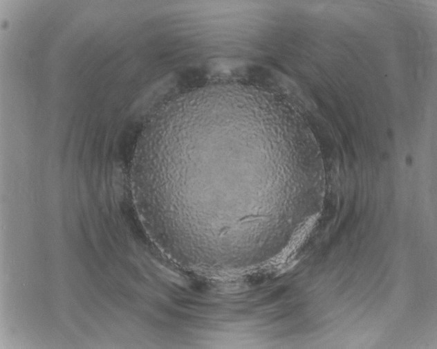 X0000073710659200608031241