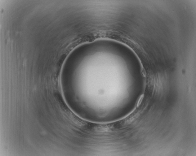 X0000073710661200608031241