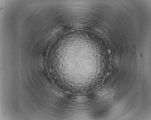 X0000073710663200608031241