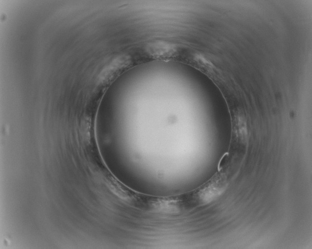 X0000073710664200608031241