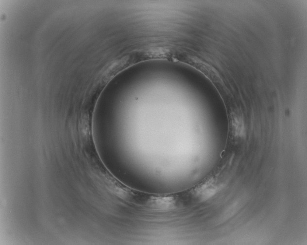 X0000073710665200608031241