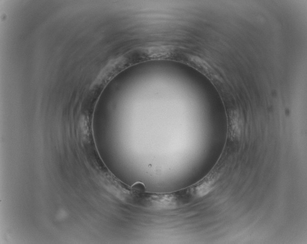 X0000073710667200608031241